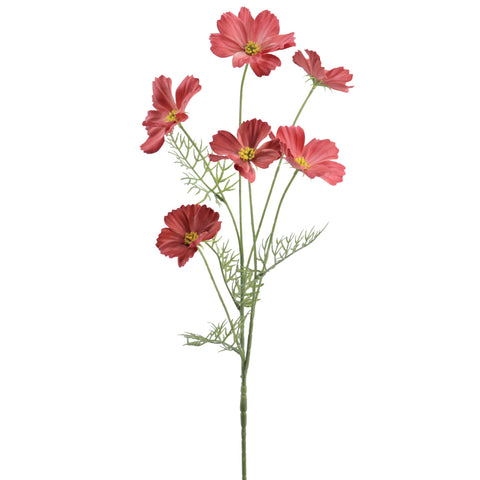 Rama Cosmos Verona 72cm Coral