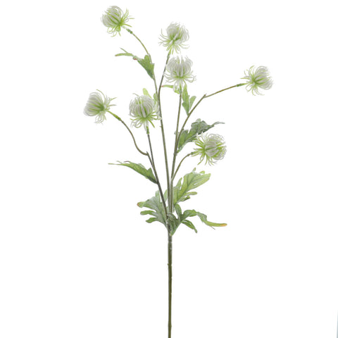 Branca Calèndula 77cm Blanc
