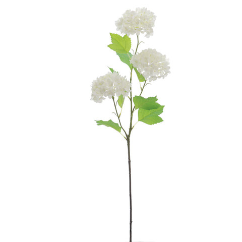 Branca Viburnum x3 68cm Crema
