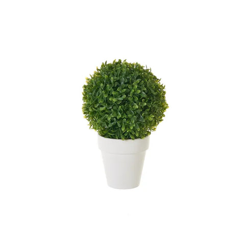 Planta PP-EE 15x15x25cm Verde