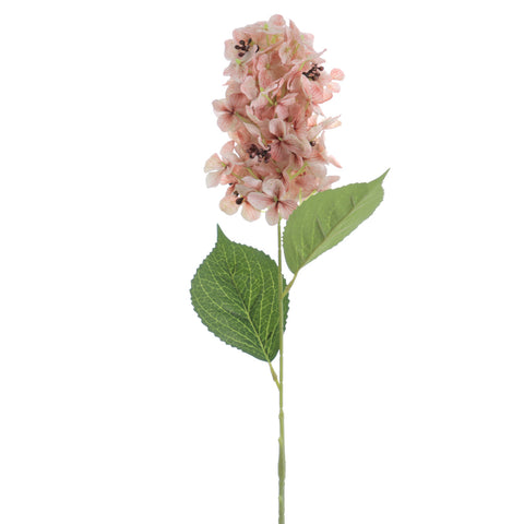 Hortensia Beige