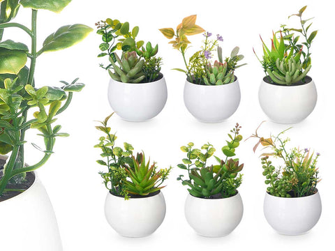 Maceta Redonda Blanca surtido 6 modelos