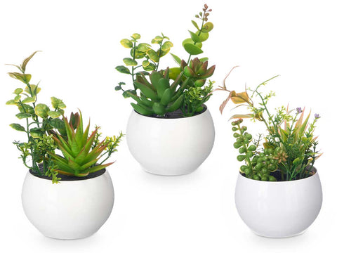 Maceta Redonda Blanca surtido 6 modelos