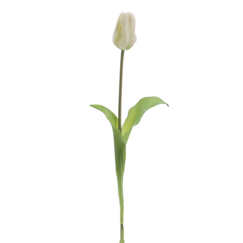 Rama Tulipán 47cm