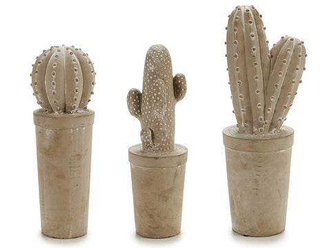 Pack 3 Cactus de Piedra Blanqueada Grande surtido
