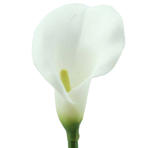 Rama Cala Blanca 72cm