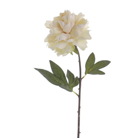 Rama Peonia Vintage 56cm