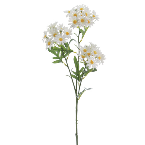 Rama Margarita 65cm