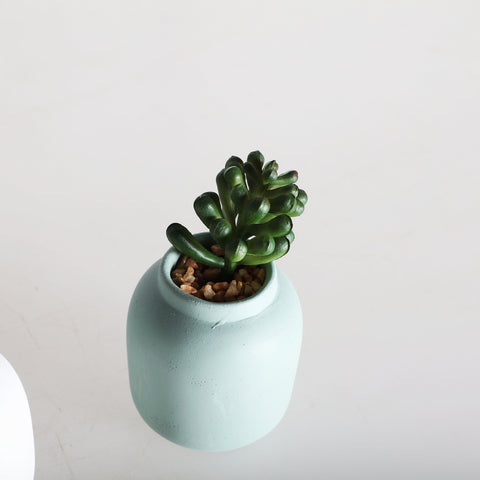 Planta Decorativa Moderna 6x6x13cm