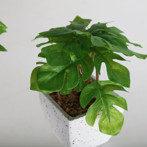 Planta Decorativa Blanca 12x12x14cm