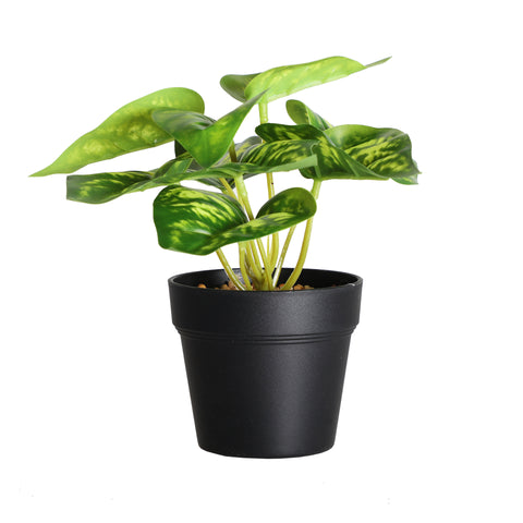Planta Artificial Decorativa 9x7,5x18cm
