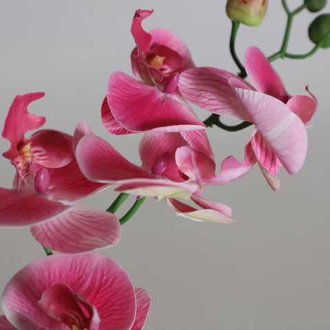Planta Orquídea Rosa 30x13x45cm