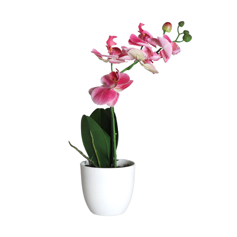 Planta Orquídea Rosa 30x13x45cm