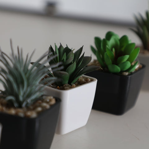 Planta Artificial Suculenta Decorativa 7cm
