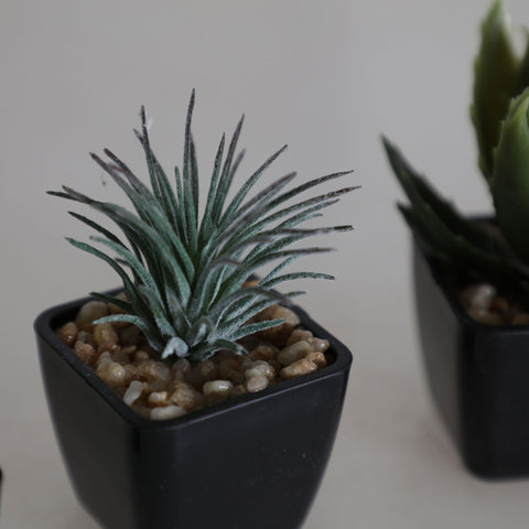 Planta Artificial Suculenta Decorativa 7cm