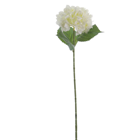 Rama Hydrangea Crema 65cm