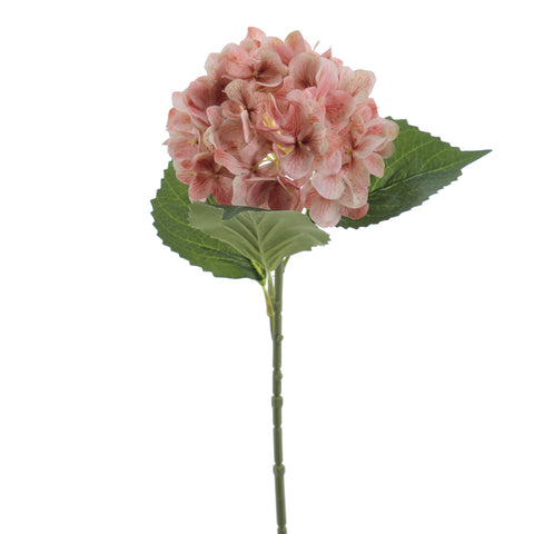 Rama Hydrangea Coral 65cm