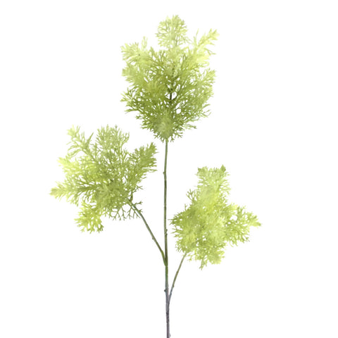 Rama Cypres Verde Claro 92cm