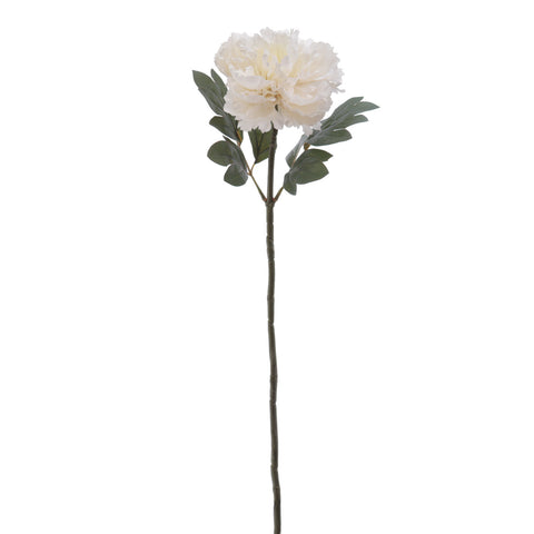 Rama Peonia Crema 60cm