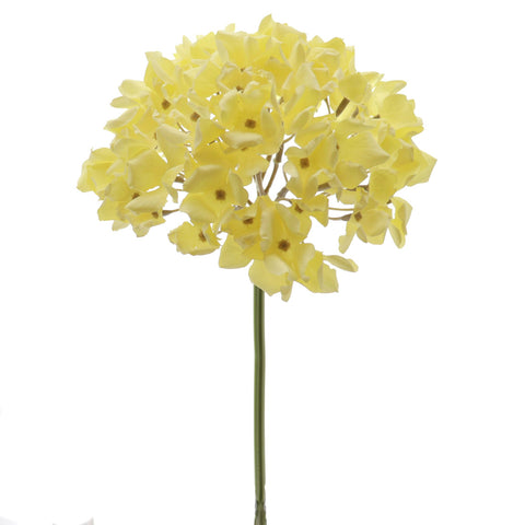 Rama Flor Hydrangea Amarillo