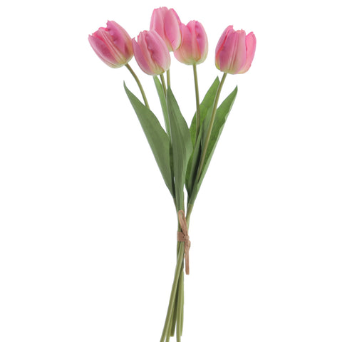 Atado Tulipanes Malva 50cm