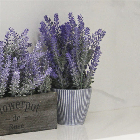 Planta Lavanda Maceta Deco 25,5cm