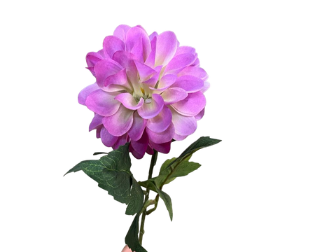 Rama Dahlia Ever Bloom Violeta 70cm