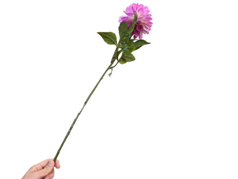 Rama Dahlia Ever Bloom Violeta 70cm