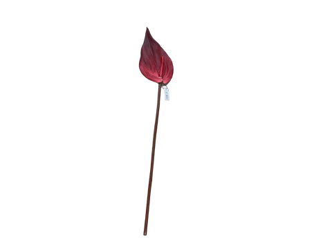 Branca Vermella Antihurium 69cm