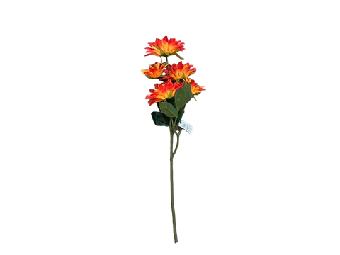 Flor rama Dahlia colores Naranja-rojo-amarillo