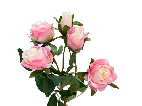 Rosa rama 45cm x5 rosas
