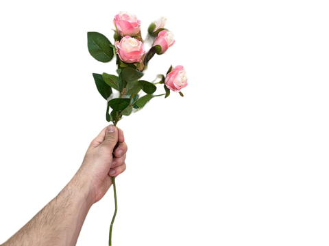 Rosa rama 45cm x5 rosas
