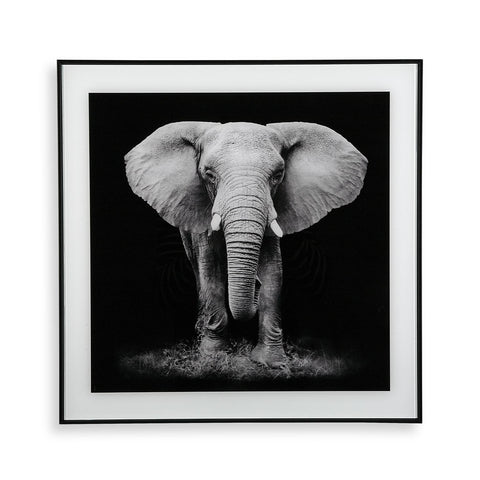 Cuadro de Cristal Elefante 50x50cm