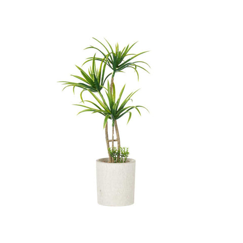 Maceta de Cemento Mediana Palmera Verde