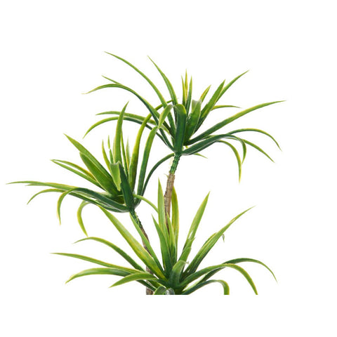 Maceta de Cemento Mediana Palmera Verde