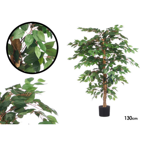 Maceta Ficus 130cm