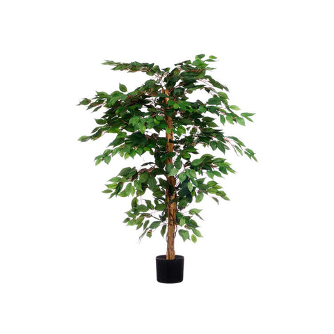 Maceta Ficus 130cm