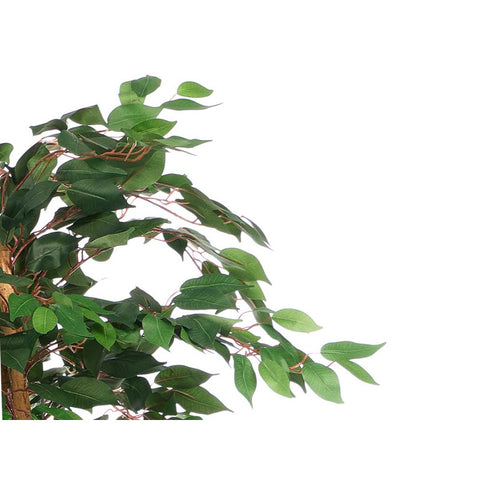 Maceta Ficus 130cm