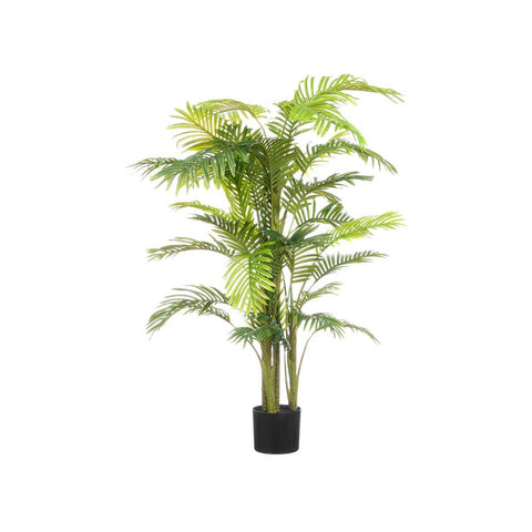 Maceta Palma Mediana 160cm