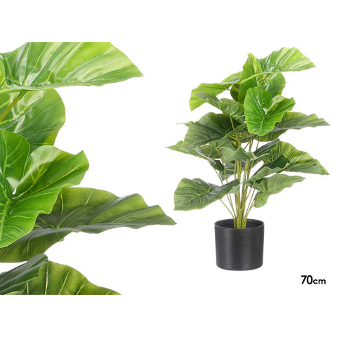 Maceta Planta Hojas Anchas 60cm
