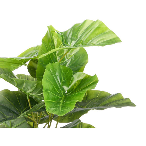 Maceta Planta Hojas Anchas 60cm