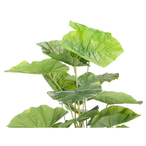 Maceta Planta Hojas Anchas 90cm