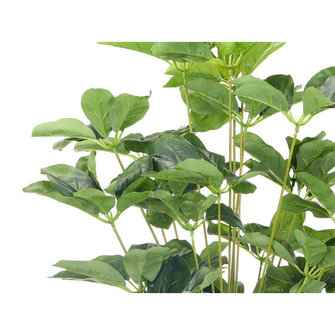 Maceta Planta Hojas Ovaladas 90cm
