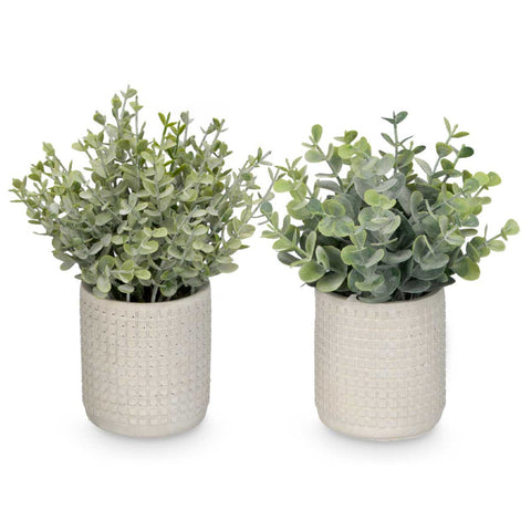 Maceta Redonda Hojas Verdes