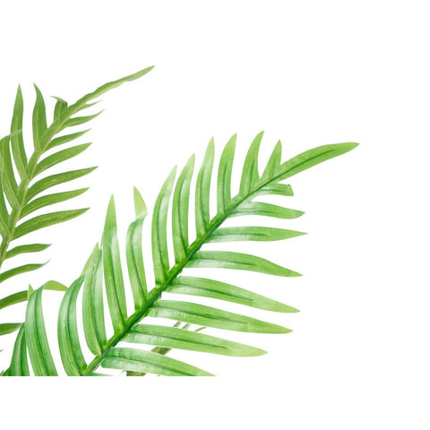 Planta Areca Artificial 120cm