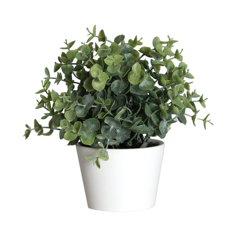 Planta Eucaliptus Verde 17x17x20cm