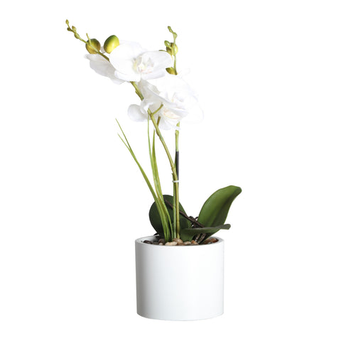 Planta Orquídea Blanca 10x10x35cm