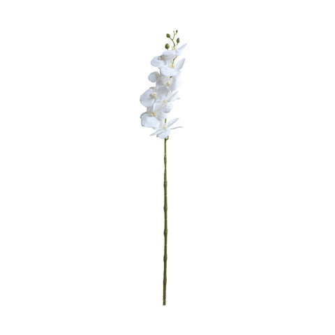 Rama Orquidea Blanca 15x6x90cm