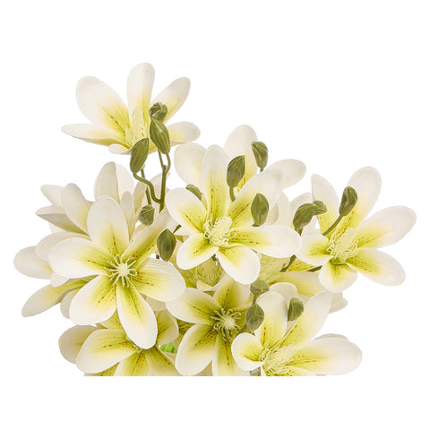 Vara 5 Ramas 20 Flores Blanca 55cm